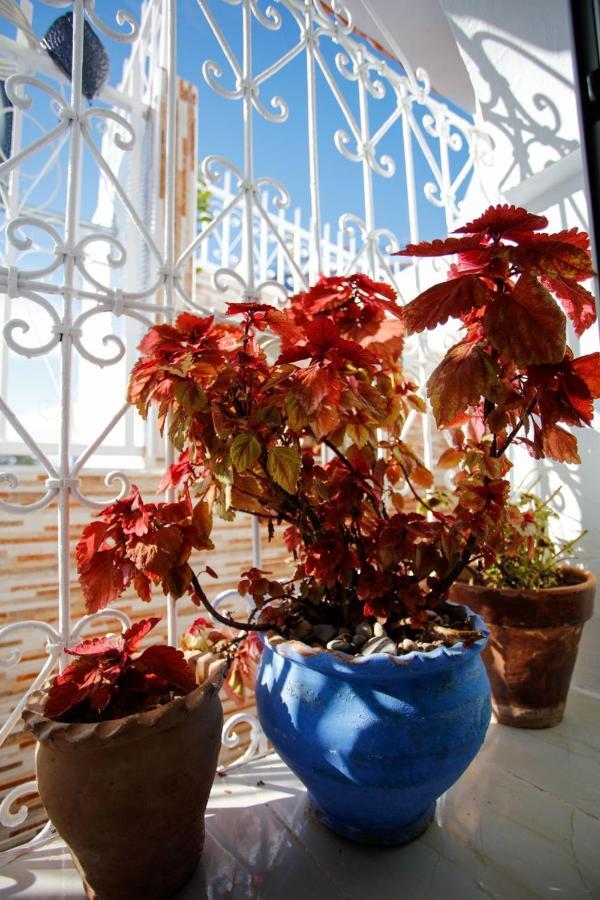 Apartamento Dar Sidi Mfedal Xauen Exterior foto